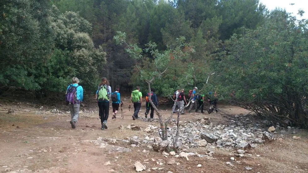 Grupo de senderistas caminando por un sendero de montaña con mochila y bastones, planificando la ruta antes de iniciar la excursión
