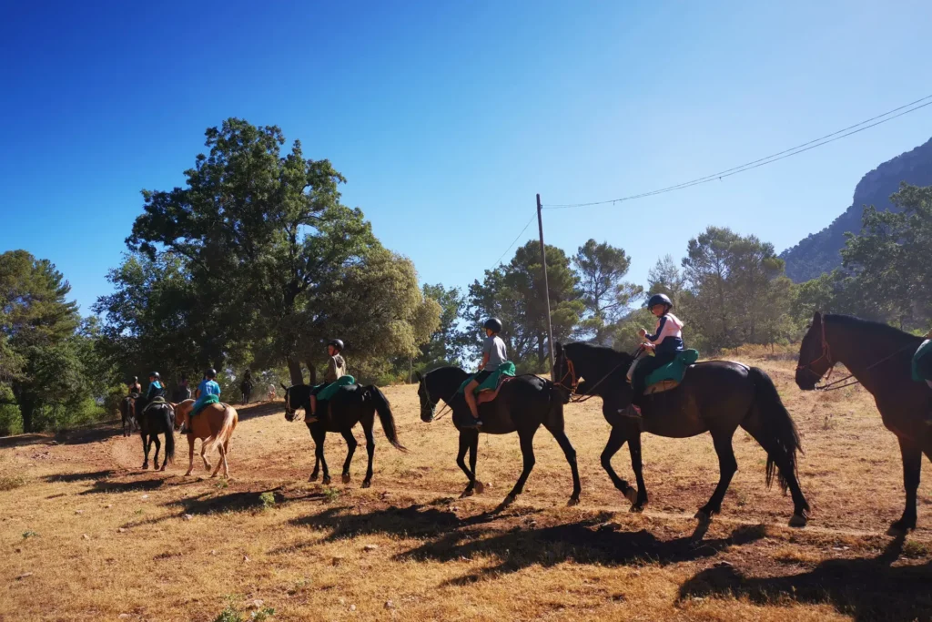 paseo en caballo
